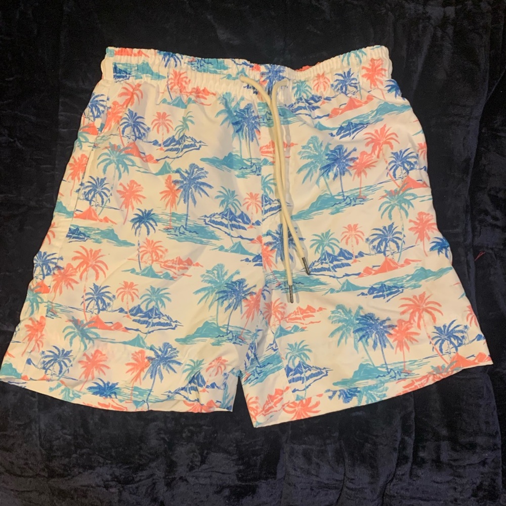 Graphic Swim Shorts